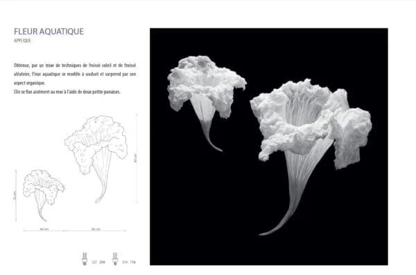 FLEUR AQUATIQUE