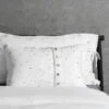 Federa decoro tempestata di cristalli